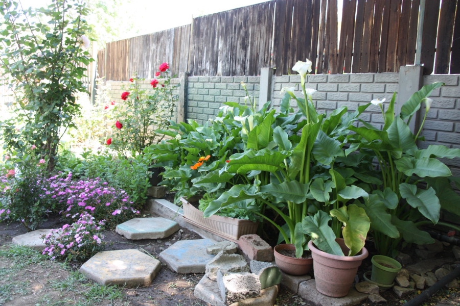3 Bedroom Property for Sale in Dewetsdorp Free State